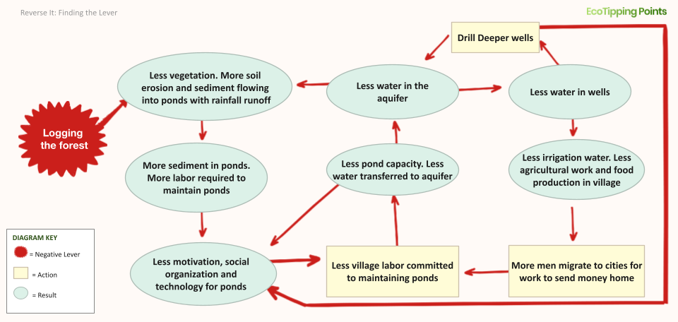 Rajasthan Reverse It: the full mapped system with 'Logging the forest' as the negative lever