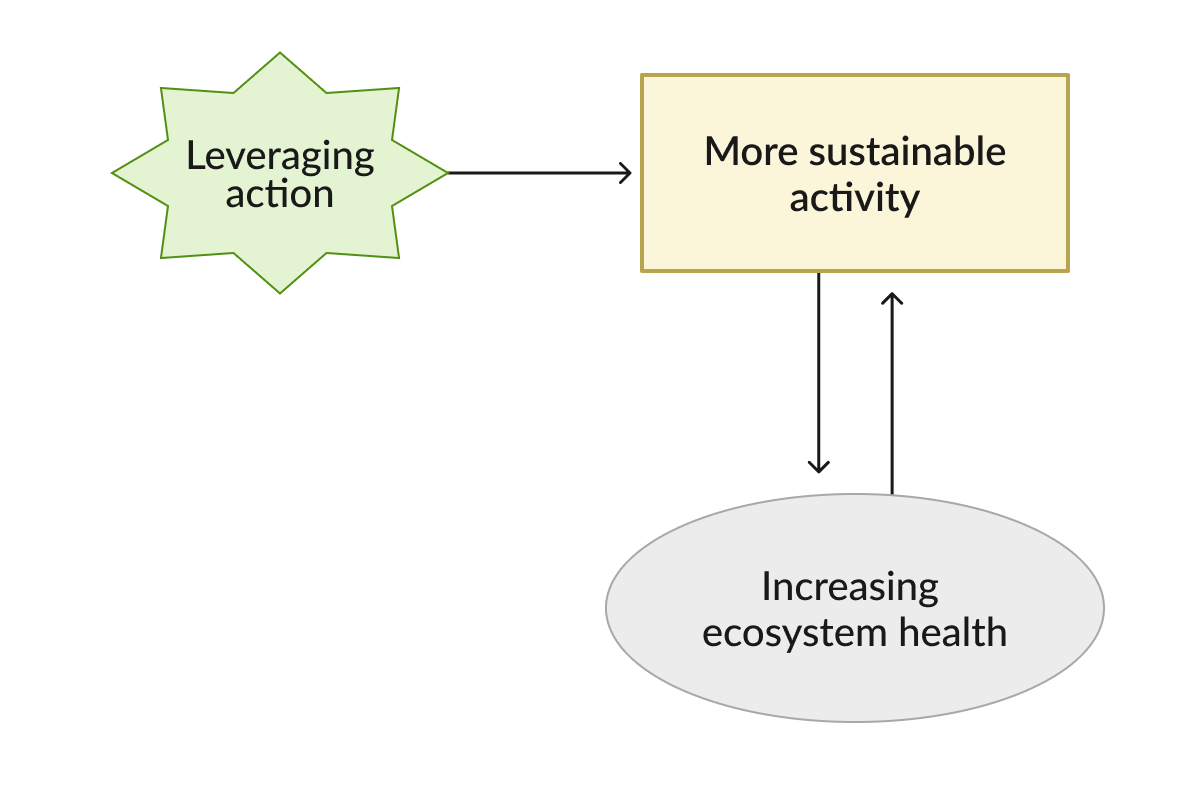 Diagram: a healthier ecosystem supports still more sustainable activity — a virtuous cycle