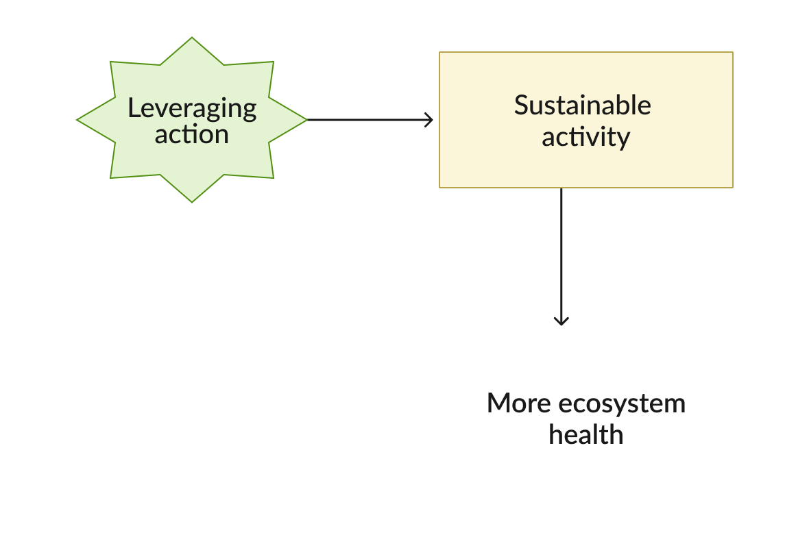 Diagram: the sustainable activity sets ecosystem recovery in motion