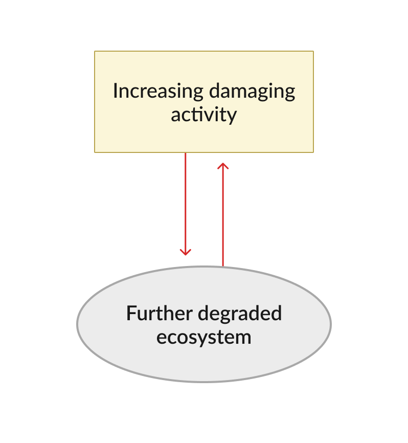 Diagram: the recognised vicious cycle — increasing damaging activity and a further degraded ecosystem